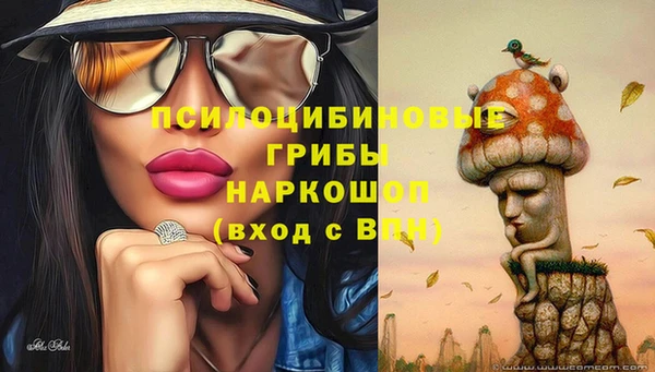 таблы Аркадак