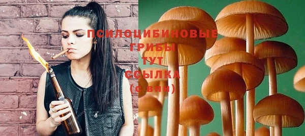 метадон Арсеньев