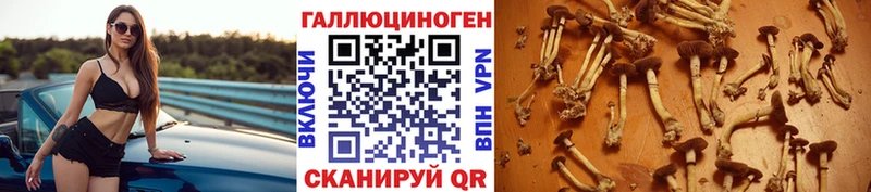 Псилоцибиновые грибы мухоморы Сухой Лог